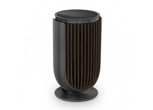 Полочная акустика Bang & Olufsen Beolab 8 Black Anthracite/Dark Oak