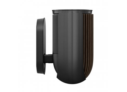 Полочная акустика Bang & Olufsen Beolab 8 Black Anthracite/Dark Oak
