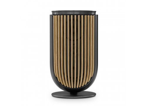Полочная акустика Bang & Olufsen Beolab 8 Black Anthracite/Oak