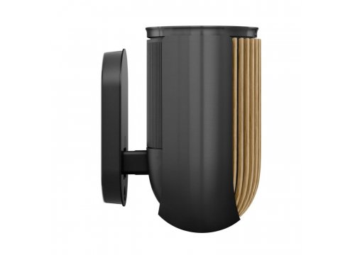 Полочная акустика Bang & Olufsen Beolab 8 Black Anthracite/Oak