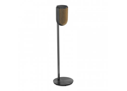 Полочная акустика Bang & Olufsen Beolab 8 Black Anthracite/Oak