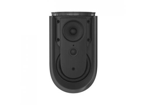 Полочная акустика Bang & Olufsen Beolab 8 Black Anthracite/Oak