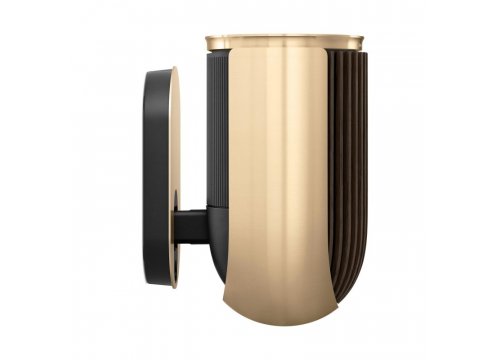 Полочная акустика Bang & Olufsen Beolab 8 Gold Tone/Dark Oak