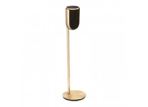 Полочная акустика Bang & Olufsen Beolab 8 Gold Tone/Dark Oak