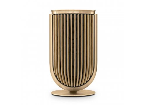 Полочная акустика Bang & Olufsen Beolab 8 Gold Tone/Oak