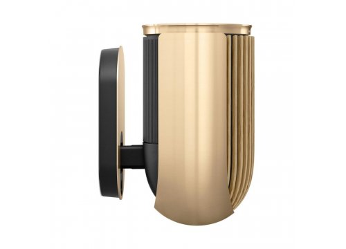 Полочная акустика Bang & Olufsen Beolab 8 Gold Tone/Oak