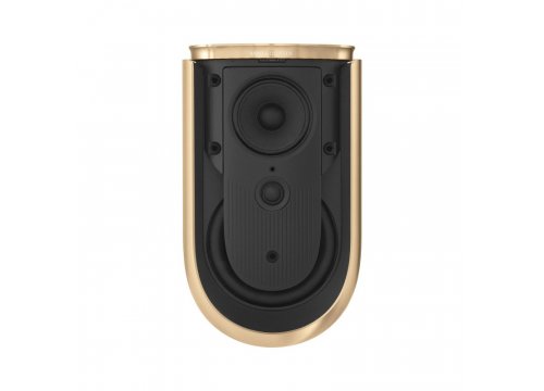 Полочная акустика Bang & Olufsen Beolab 8 Gold Tone/Oak