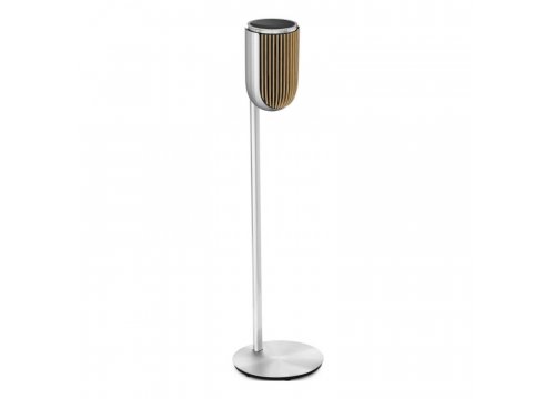 Полочная акустика Bang & Olufsen Beolab 8 Silver/Oak